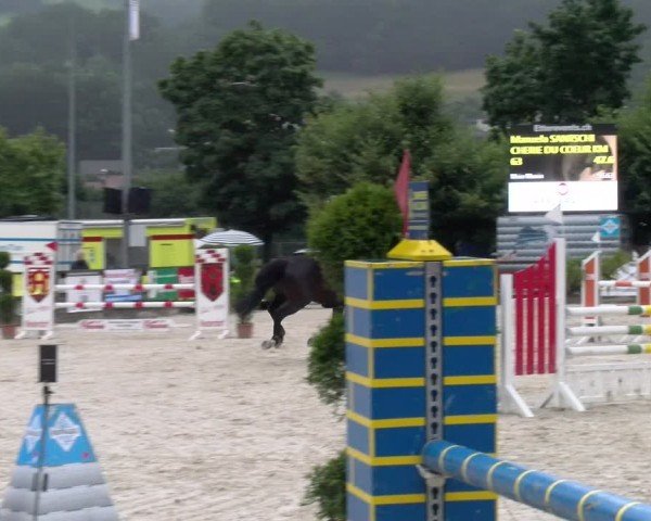 Reitturnier Balsthal 2024