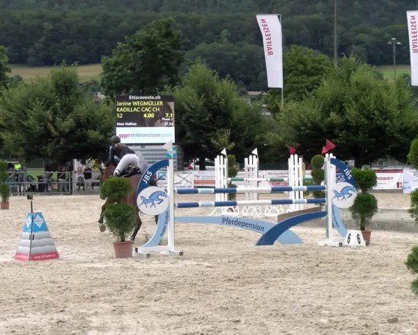 Reitturnier Balsthal 2024
