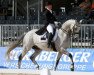 dressage horse Hamilton (Trakehner, 2005, from Distelzar)