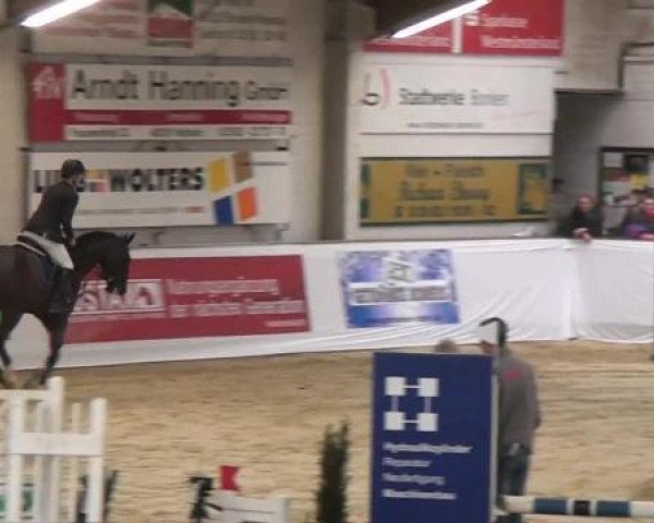 Hallenspringturnier in Borken 2013