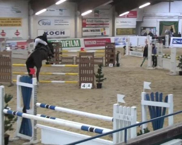 Hallenspringturnier in Borken 2013