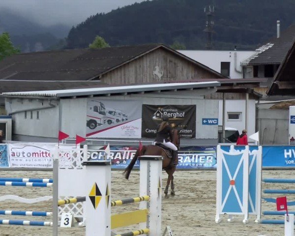 Reitturnier Rankweil 2024