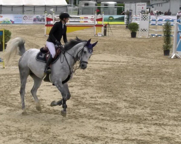 Reitturnier Rankweil 2024