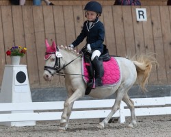 Dressurpferd Kaschyra (Shetland Pony, 2007, von Karon III)