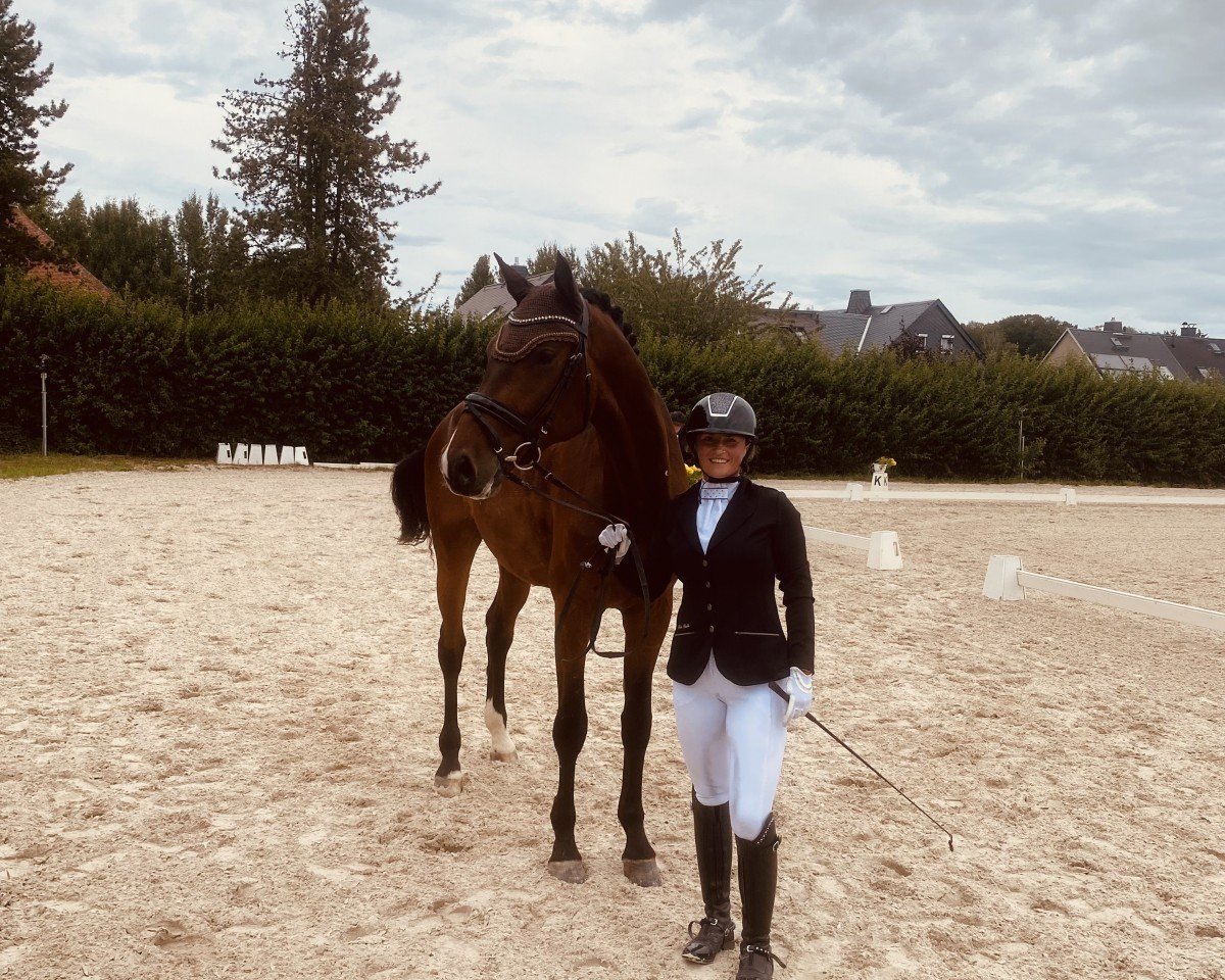 dressage horse Abtwalds Froschkönig (Oldenburg, 2020, from Franklin)