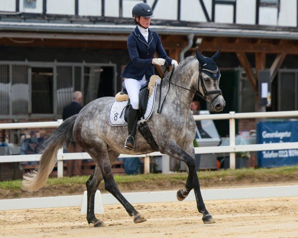 dressage horse It's Me Fw (Oldenburg, 2018, from For Dance)