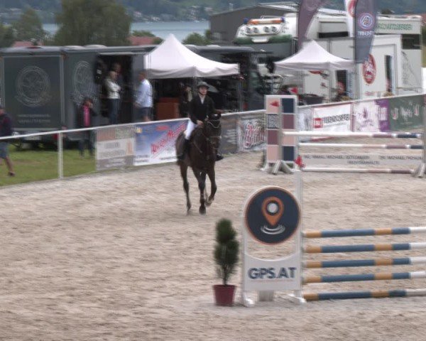 Springturnier Seewalchen 2024