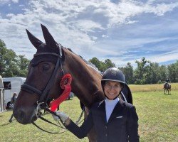 dressage horse Fürstenstolz ZhD (Hanoverian, 2015, from Fürstenball)