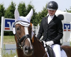 dressage horse Balotelli B (Hanoverian, 2012, from Brentano II)