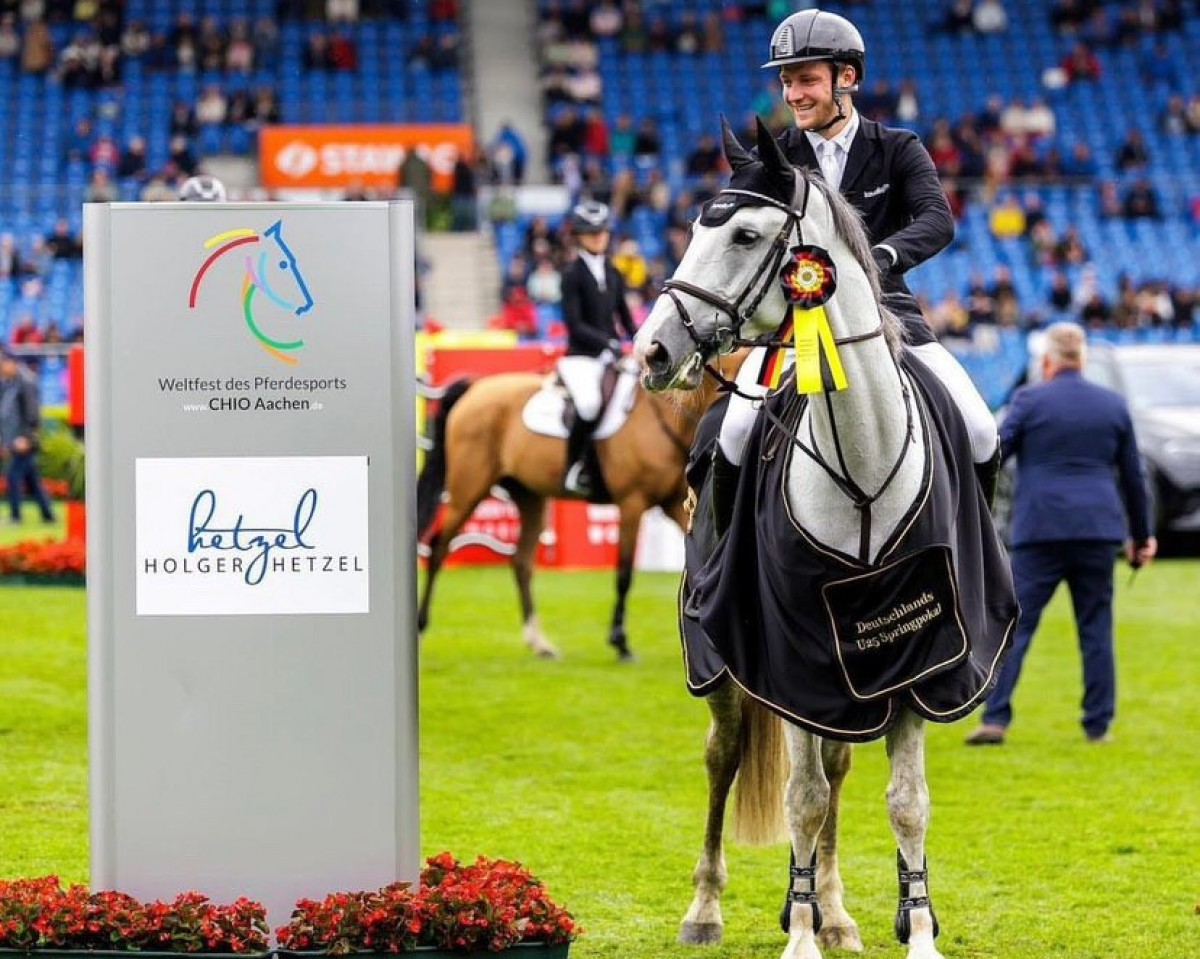 jumper NC VERSO RED WINE (Oldenburg show jumper, 2012, from Vigo d'Arsouilles)