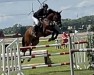 jumper Kwick Kannanball (Zangersheide riding horse, 2015, from Kannanball)