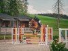 jumper Little Prince 2 (Austrian Warmblood, 2018, from Libertad FRH)