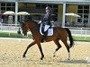 dressage horse Mystic 2 (Austrian Warmblood, 2012, from Ramiro's Bube)