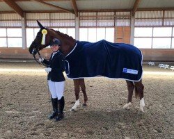 dressage horse Dancing Quinabella (Oldenburg, 2008, from Quaterback)