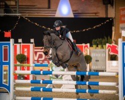 jumper Eastwood's Nico (New Forest Pony, 2002, from Aladin)