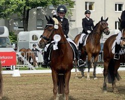 dressage horse Ravenna 410 (Lewitzer, 2005)