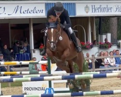 broodmare Quidams Catoka (Oldenburg show jumper, 2016, from Quidam de Revel)