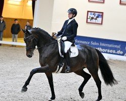 dressage horse Fame on Fire A (Oldenburg, 2019, from Fürstenball)