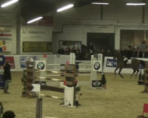 Hallenspringturnier in Borken 2013
