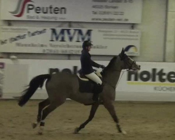 Hallenspringturnier in Borken 2013
