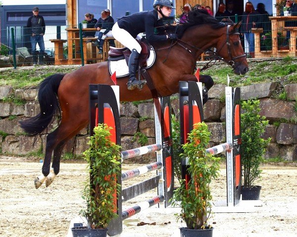 jumper Elixir France (Oldenburg show jumper, 2019, from Excellence Hds)