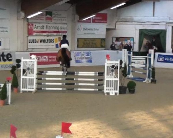 Hallenspringturnier in Borken 2013