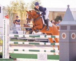 jumper Vivienn CR (German Riding Pony, 2018, from Voodoo Cr)