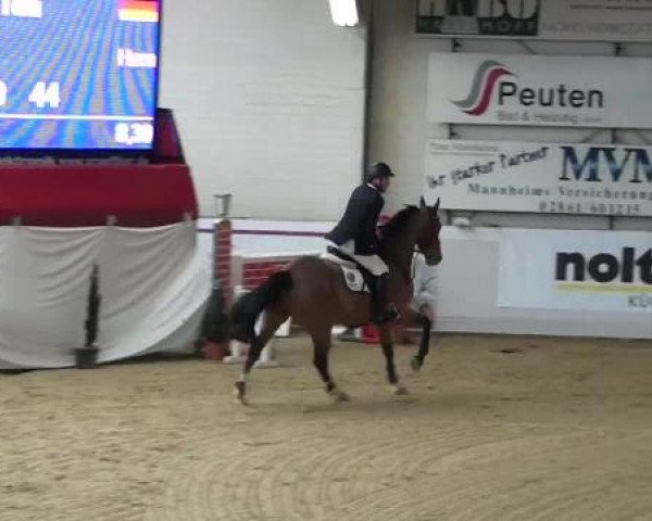 Hallenspringturnier in Borken 2013