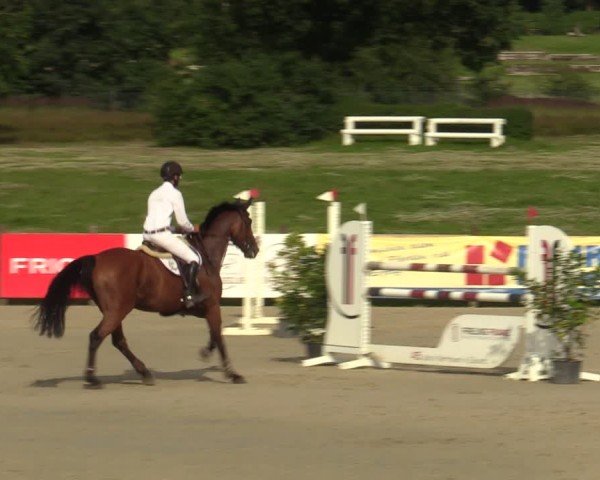 Reitturnier Westergellersen 2024