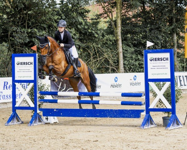 jumper Coco Chanel 321 (Spanish Sport Horse, 2014)