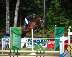 jumper Negra van Schotten (Deutsches Sportpferd, 2013, from Nerrado)