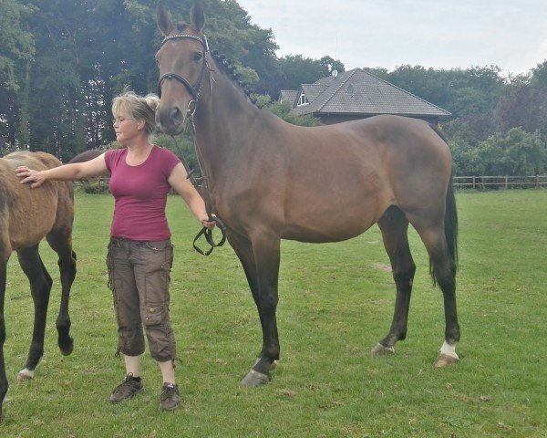 broodmare Graciella (Oldenburg, 2007, from Gracieux)