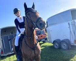 dressage horse Lanciano 90 (Trakehner, 2018, from Mescalero)