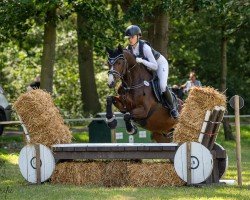 dressage horse B.J. (German Riding Pony, 2002, from Bugatti)