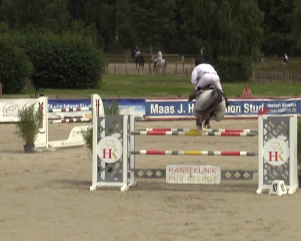 Reitturnier Westergellersen 2024