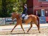 Dressurpferd Cool And Easy 4 (Deutsches Reitpony, 2012, von FS Champion de Luxe)