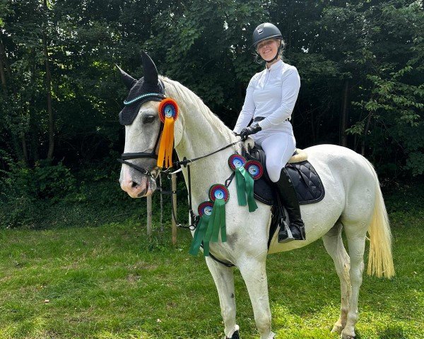 jumper Marie 164 (Oldenburg, 2016, from Priano)