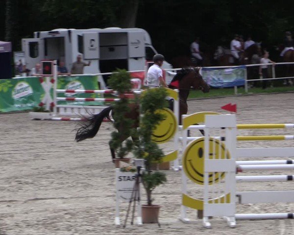 Reitturnier Prussendorf 2024