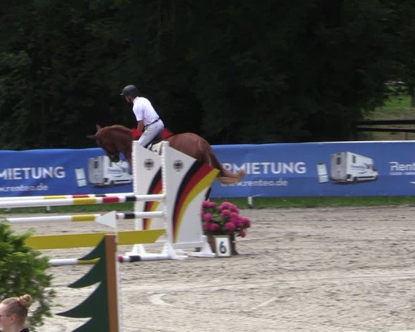 Reitturnier Prussendorf 2024