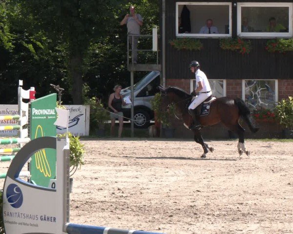 Reitturnier Münster-Roxel 2024