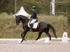 dressage horse Vio (Oldenburg, 2019, from Vitalis)