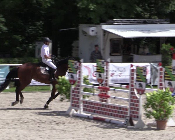 Reitturnier Prussendorf 2024