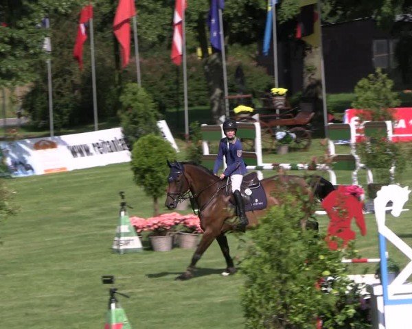 Reitturnier Neu Benthen 2024