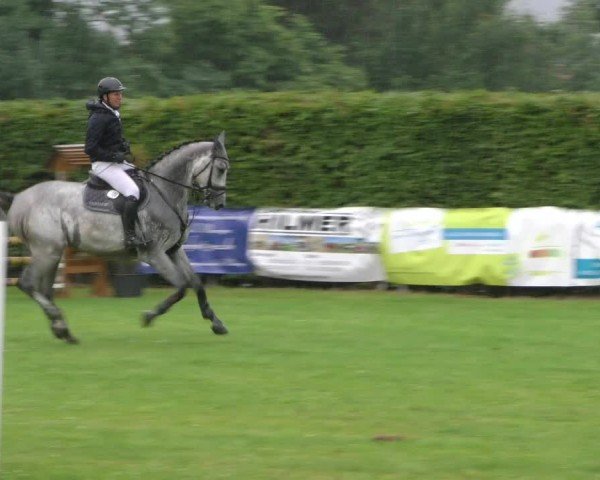 Reitturnier Moringen 2024