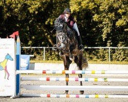 jumper Ciacomel (German Sport Horse, 2019, from Chapeau Ciaco)