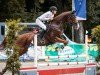 jumper Call me Tom (German Sport Horse, 2019, from C'est la vie 151)