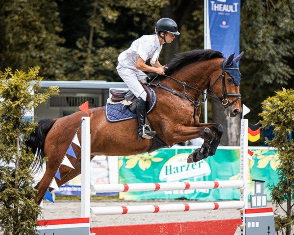 jumper Karlos T (Hanoverian, 2019, from Karajan)