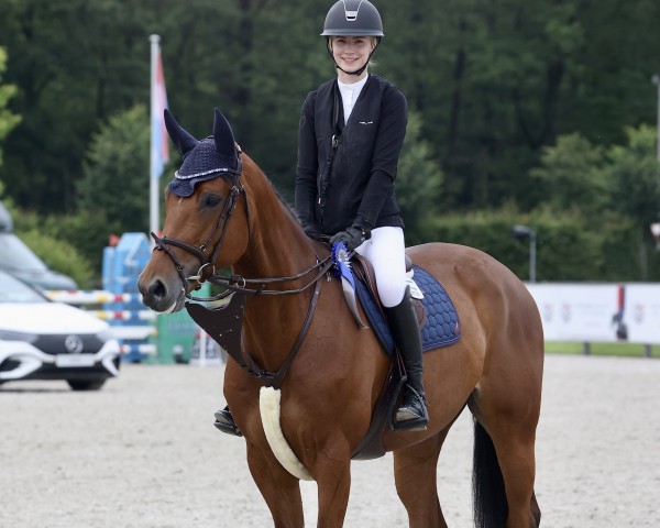 Springpferd Sirocca van de Leeuwerk (Belgisches Warmblut, 2018, von Zirocco Blue)