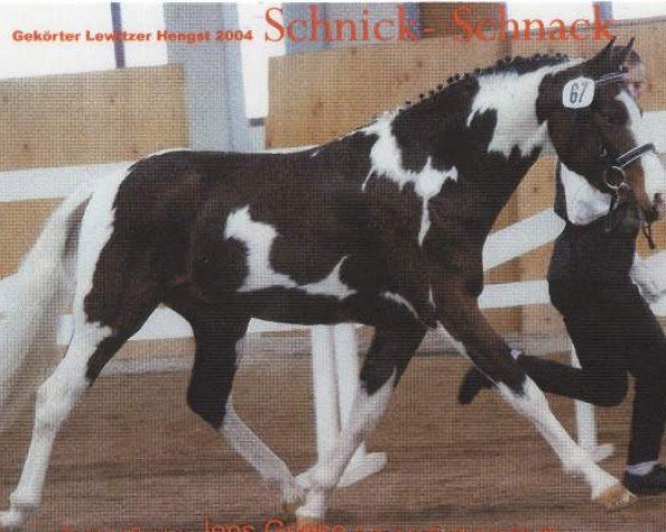 stallion Schnick-Schnack (Lewitzer, 2001, from Schabernack)