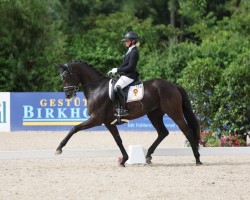 dressage horse E'Panthera (German Sport Horse, 2020, from Escamillo)